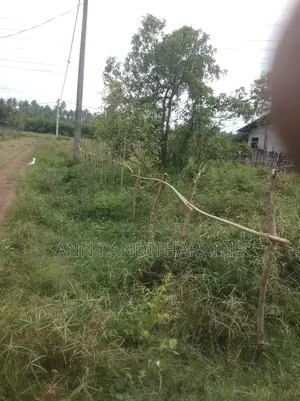 Photo - 15 Perches Land for Sale Immediately