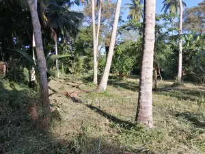 Lake View Land for Sale in Ambalanthota