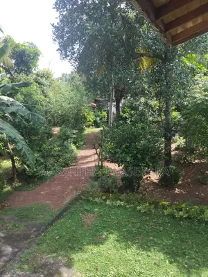 Land for Sale in Bellanwila