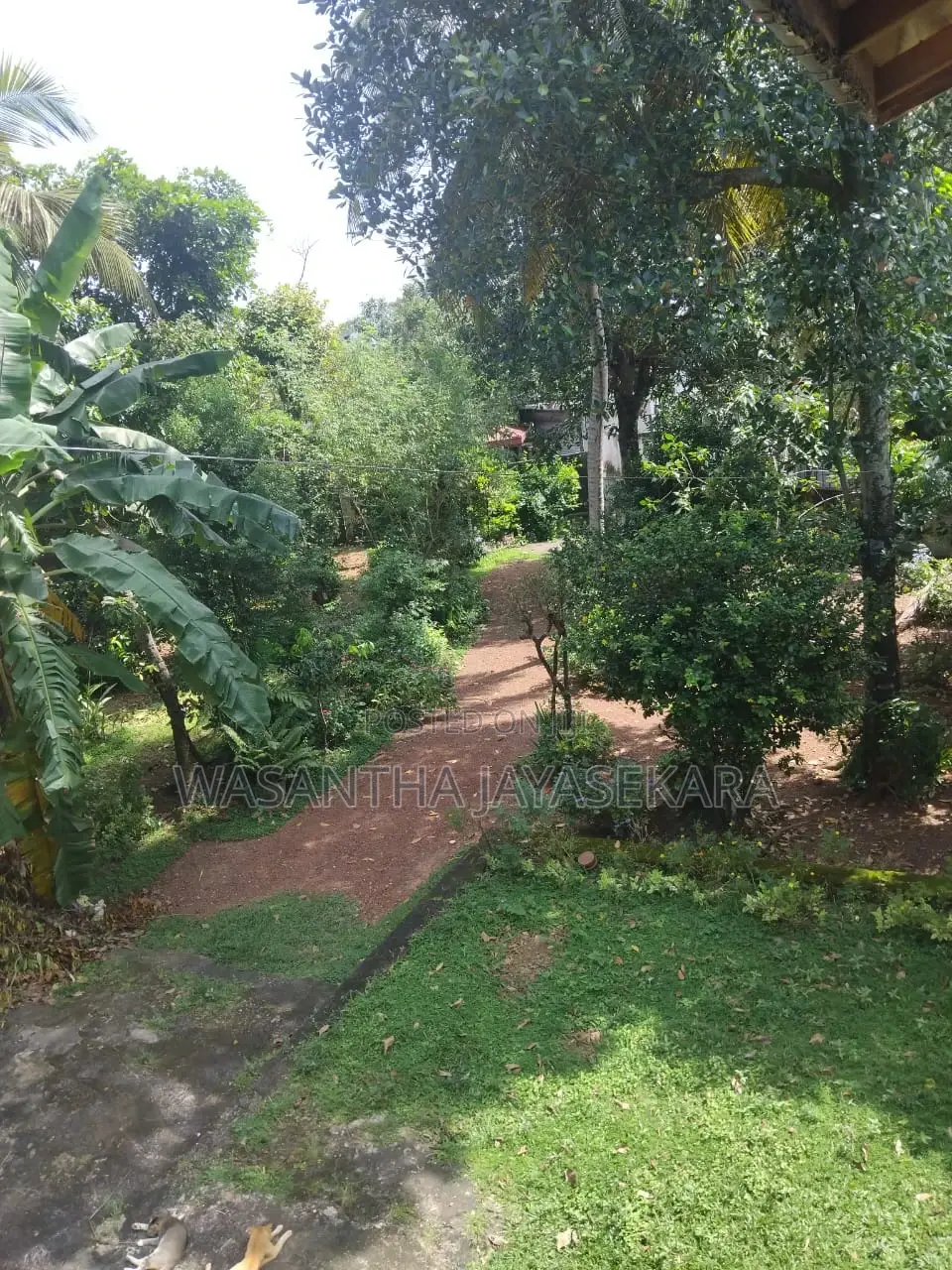 Land for Sale in Bellanwila