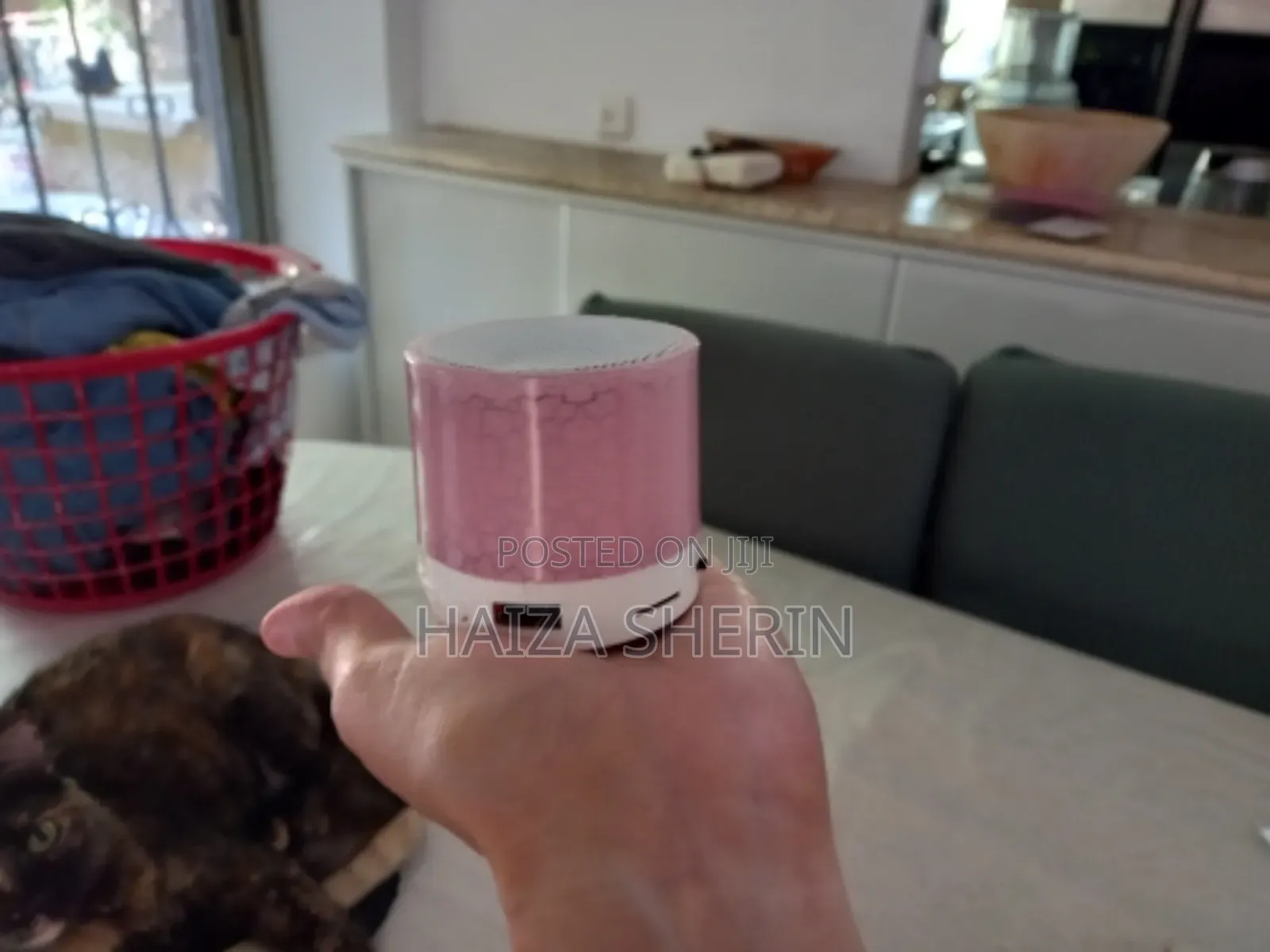 Wireless Mini Speaker