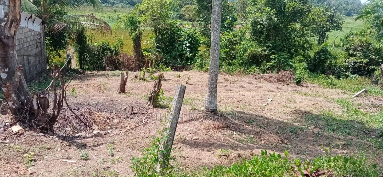 කොළඹ දිස්ත්‍රික්කයෙන් නිස්කලනංක ඉඩමක් සාධාරණ මිලකට.