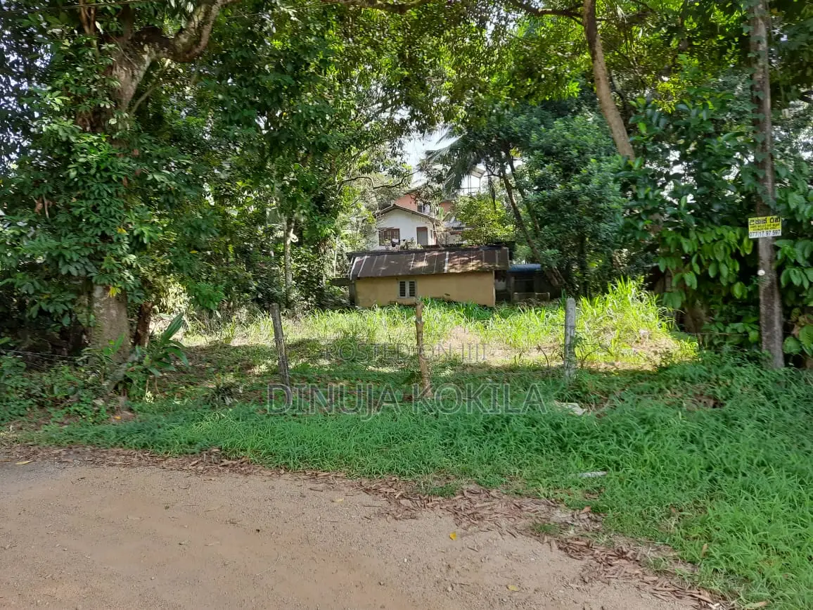 හෝමාගම නගරයට අසන්න වටිනා ඉඩම