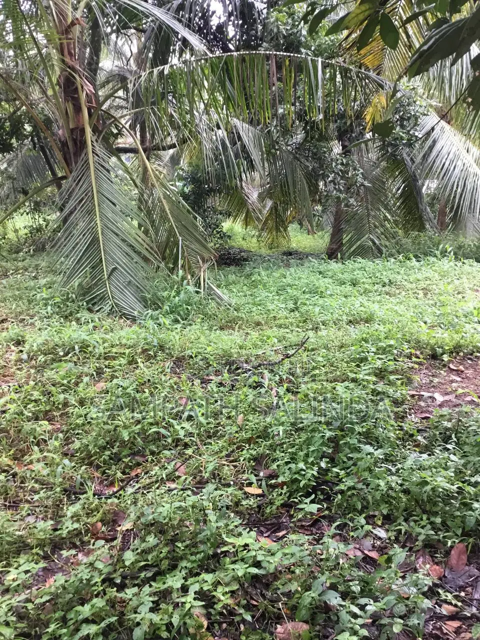 1acre Land for Long Terms Lease