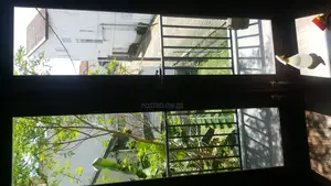 Glass Tinted Service
