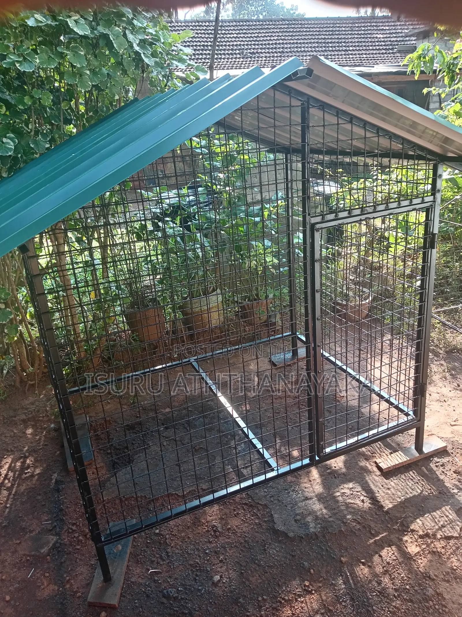 Dog Cage 5x5 Size