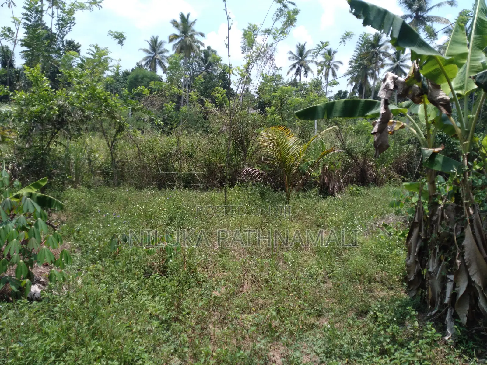 Land for Sale Mirigama 11 Perches