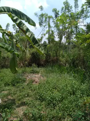 Photo - Land for Sale Mirigama 11 Perches