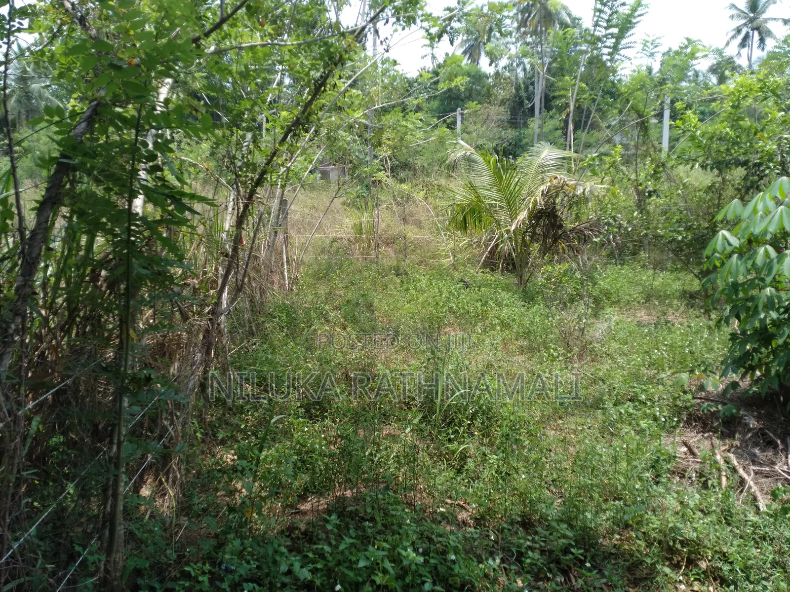 Land for Sale Mirigama 11 Perches