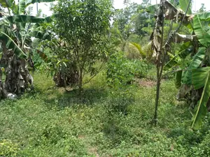 Land for Sale Mirigama 11 Perches