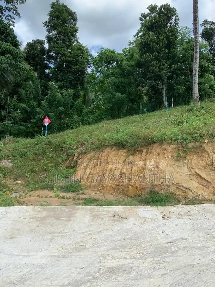 Land for Sale