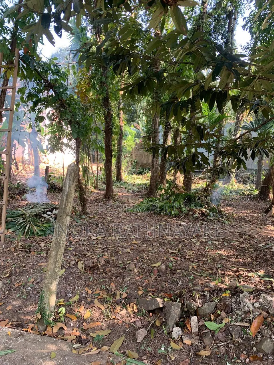 Land for Sale in Udugampola