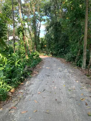 Land for Sale in Udugampola
