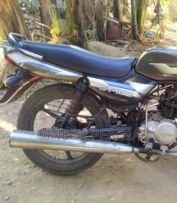 Bajaj 2014 Beige