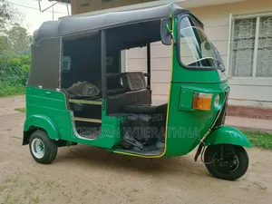 Bajaj 2011 Green