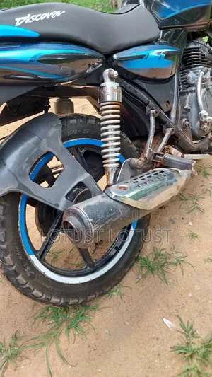 Indian 2007 Blue