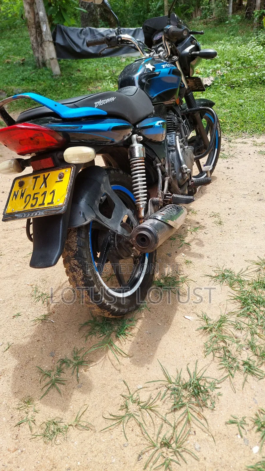 Indian 2007 Blue
