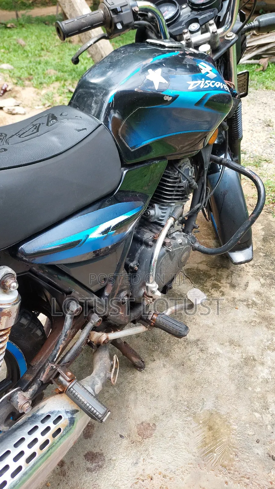 Indian 2007 Blue