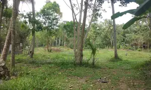 Photo - Commercial Land For Sale.Wariyapola