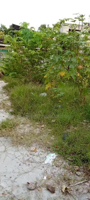 Dehiwala Hill Street Just 100 Meters Away From Hills Street