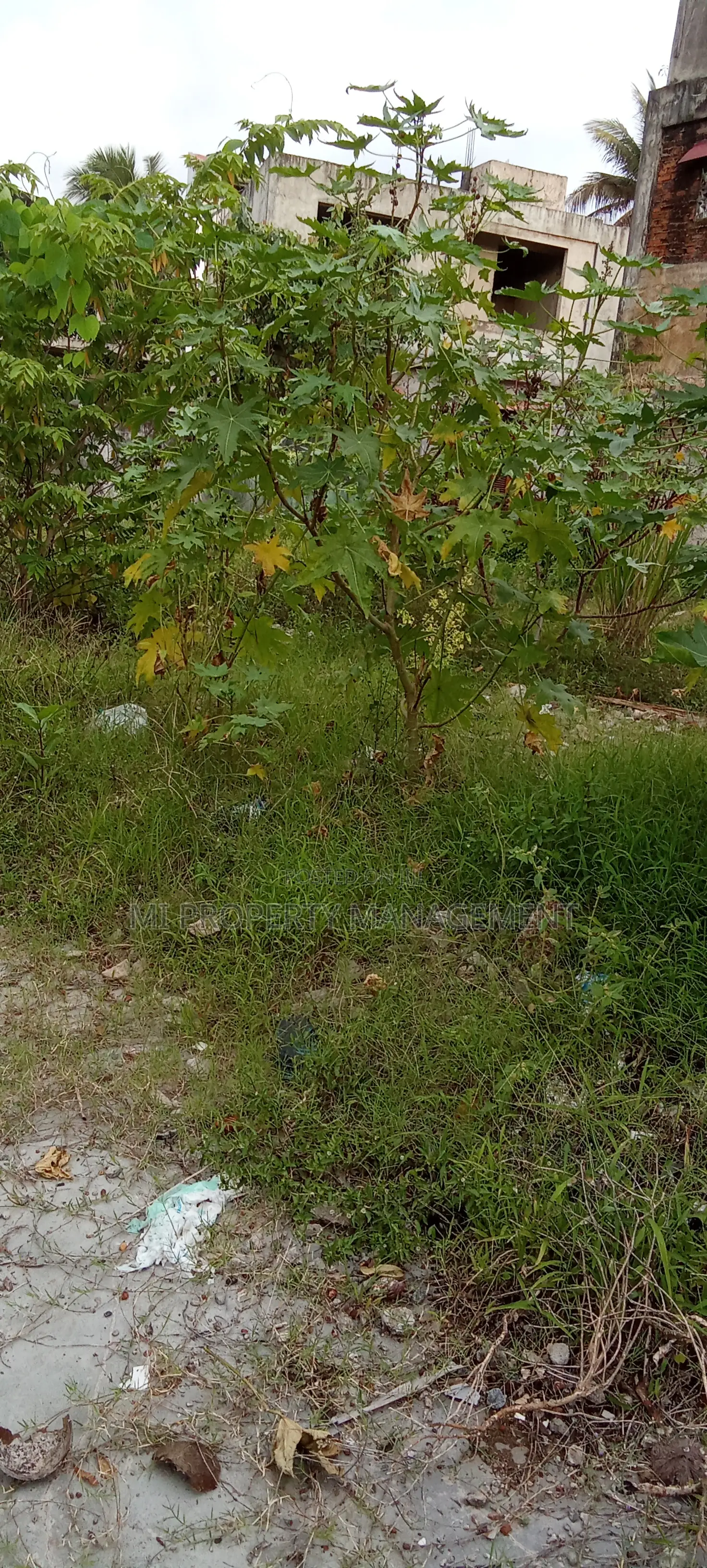 Dehiwala Hill Street Just 100 Meters Away From Hills Street