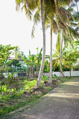 Land for Sale in හික්කඩුව