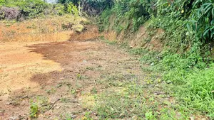 Photo - Lands for Sale Homagama