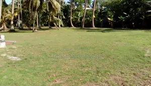 Photo - This Land in Balapitiya. And This Is Really Good for Tourism