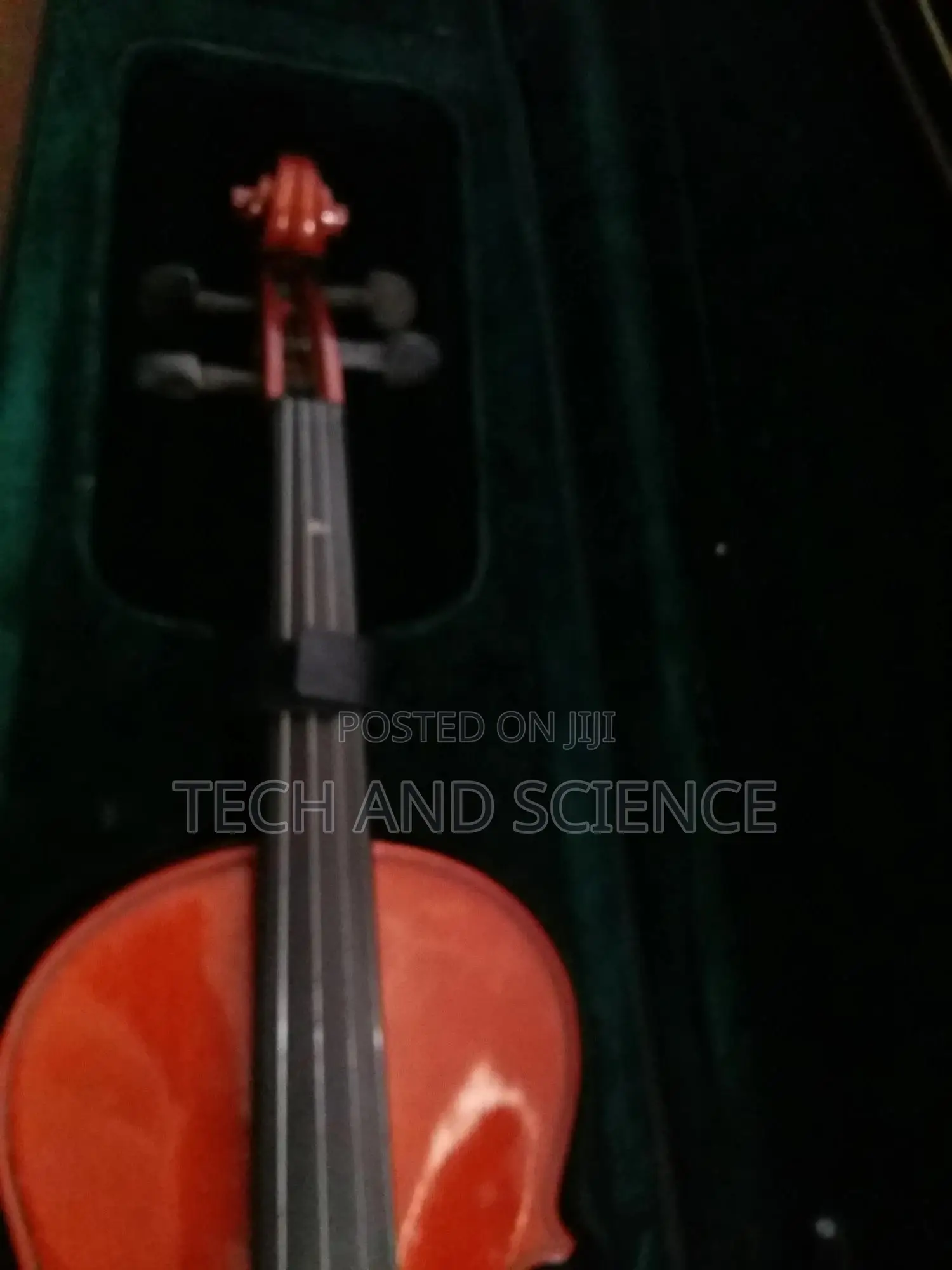 Japan Violin