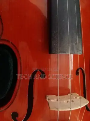 Japan Violin