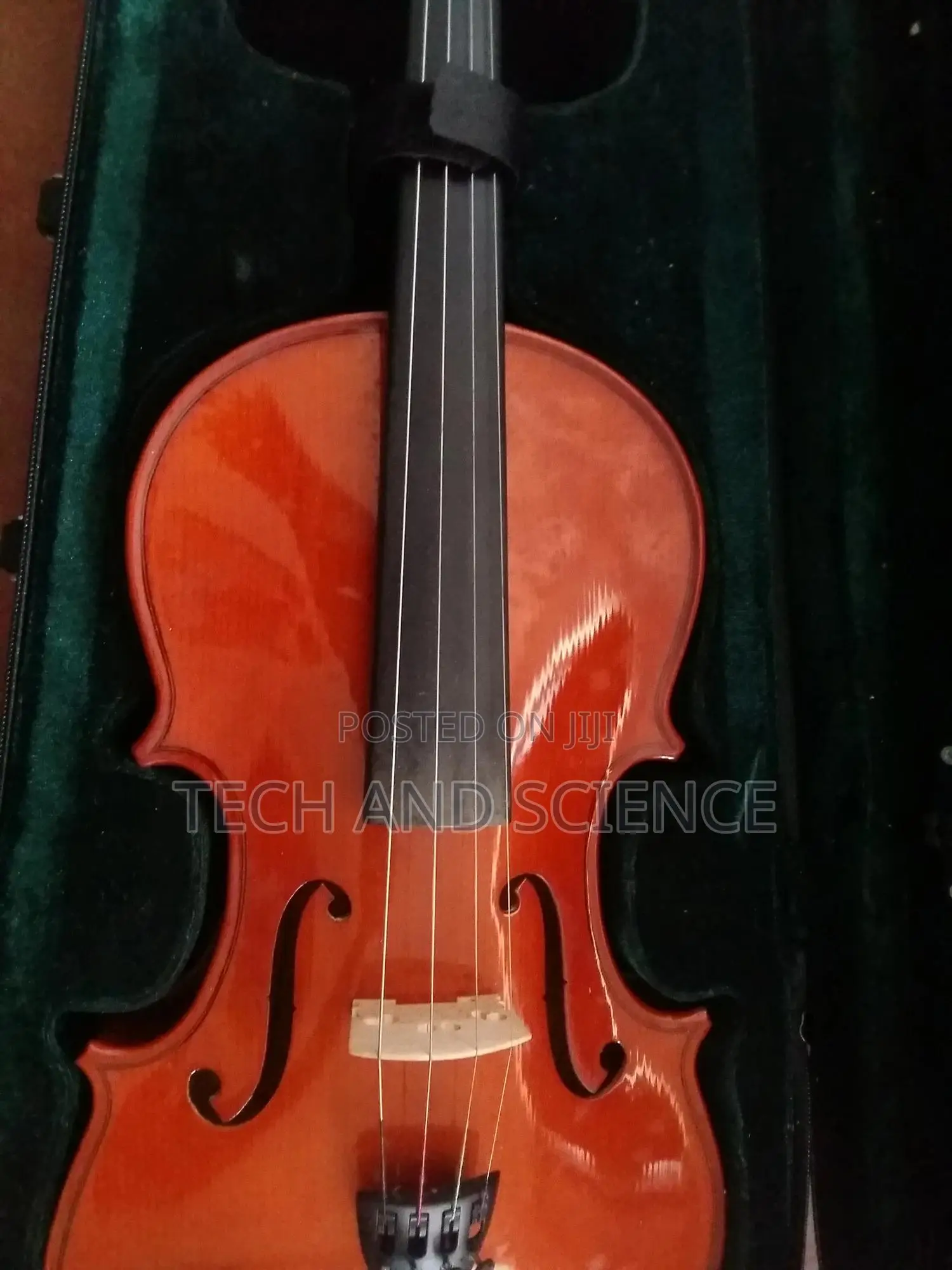Japan Violin