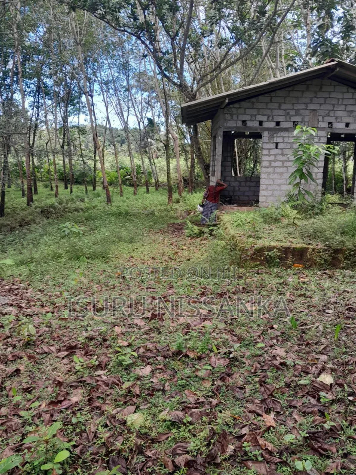 Land for Salewith Rubber Trees