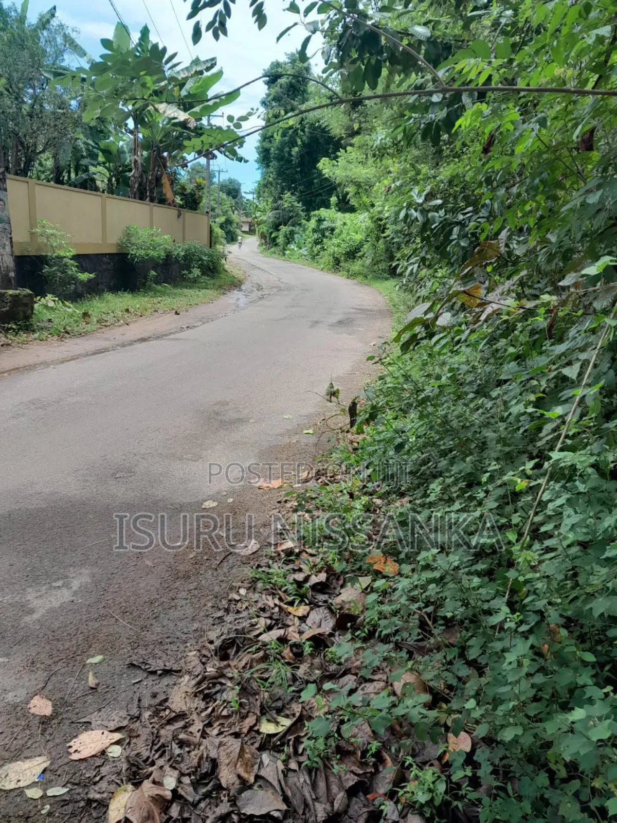Land for Salewith Rubber Trees