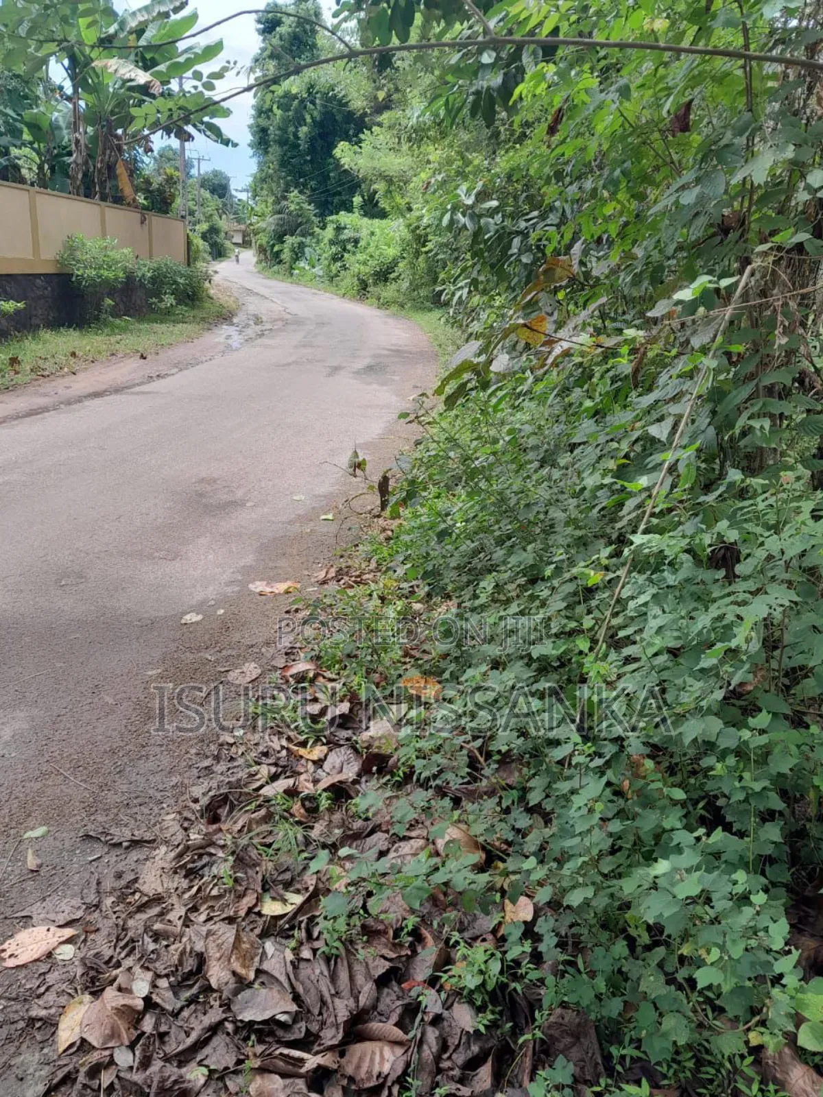 Land for Salewith Rubber Trees