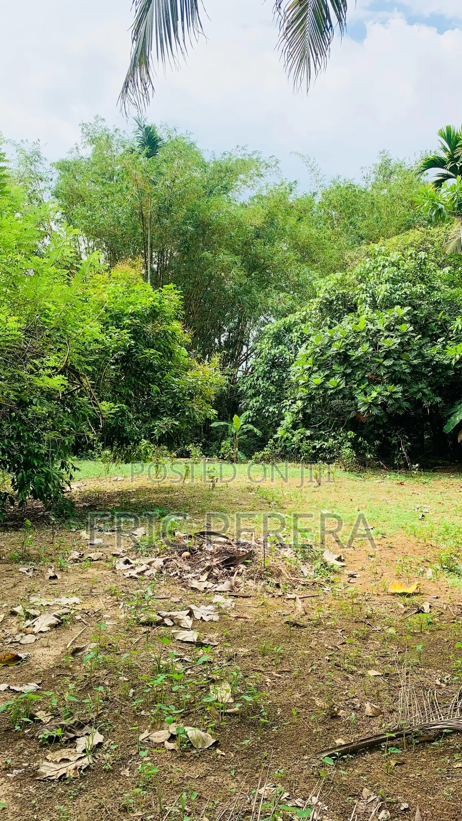 River Front Land to Sell