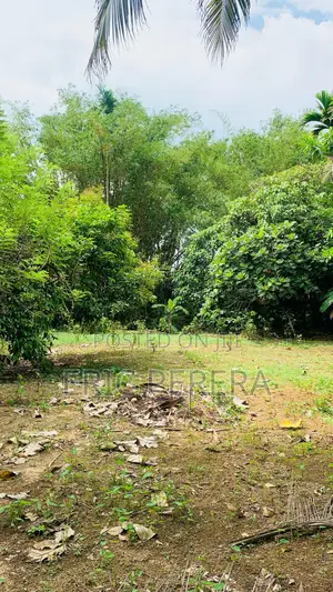 River Front Land to Sell