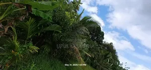 Photo - Land For Sale In Kurunegala