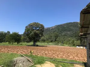 Photo - Valuable Land for Sale