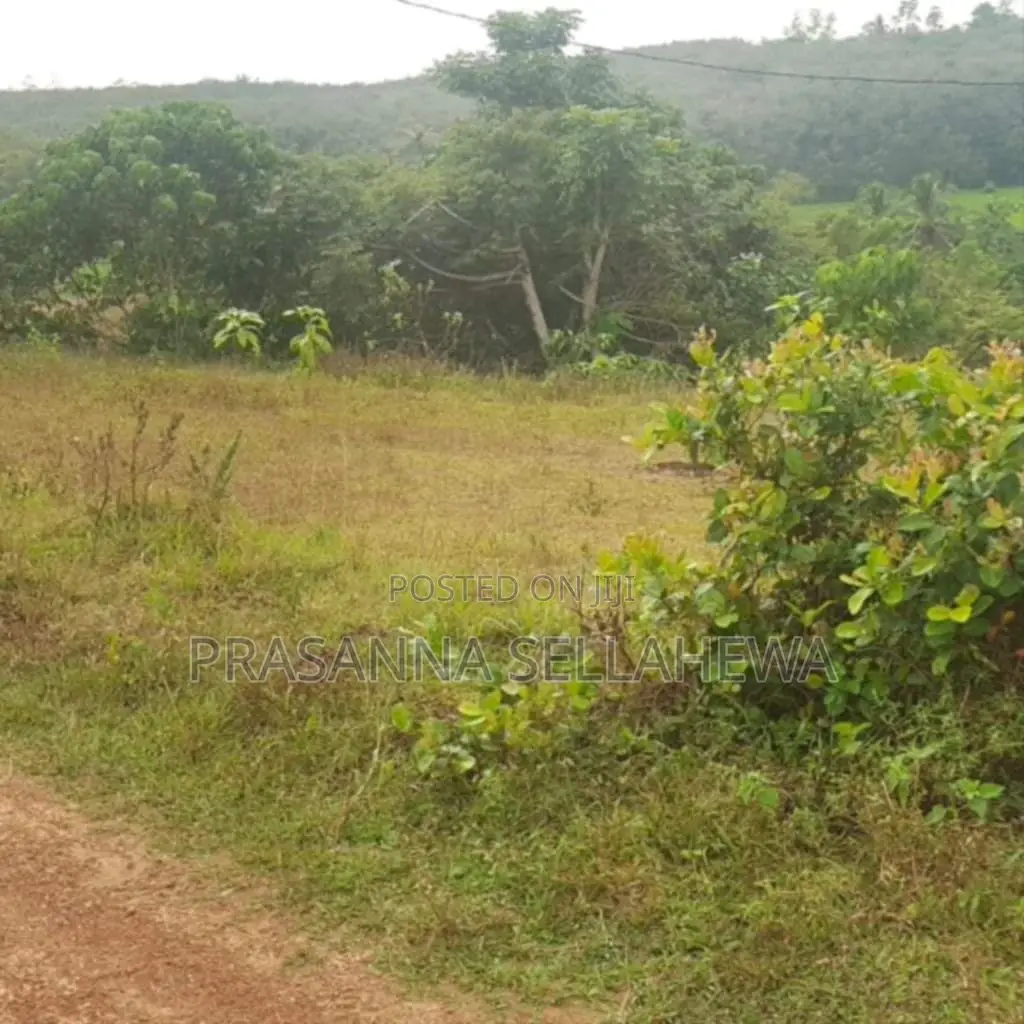 Land for Sale