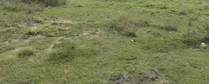 Photo - Land for Sale in Galle