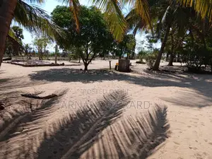 Beachfront Land Next Arugam Bay