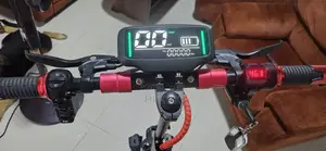 Electrical Scooter