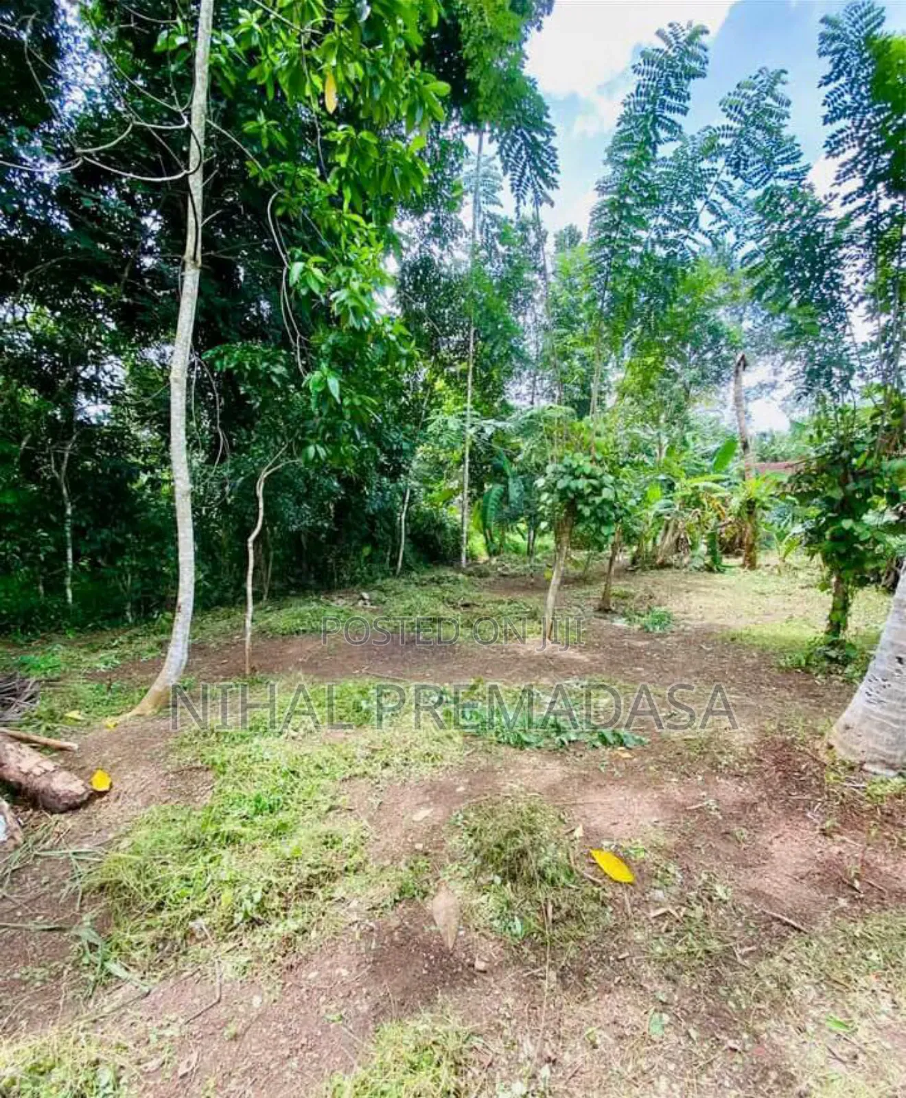Land for Sale in Bandaragama