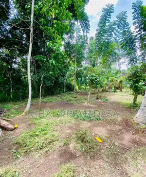 Land for Sale in Bandaragama