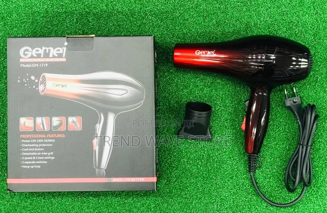 Gemei 1719 Hair Dryer (P00571)