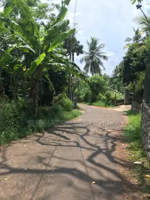 Photo - 14 Purches Two Land Plots for Sale