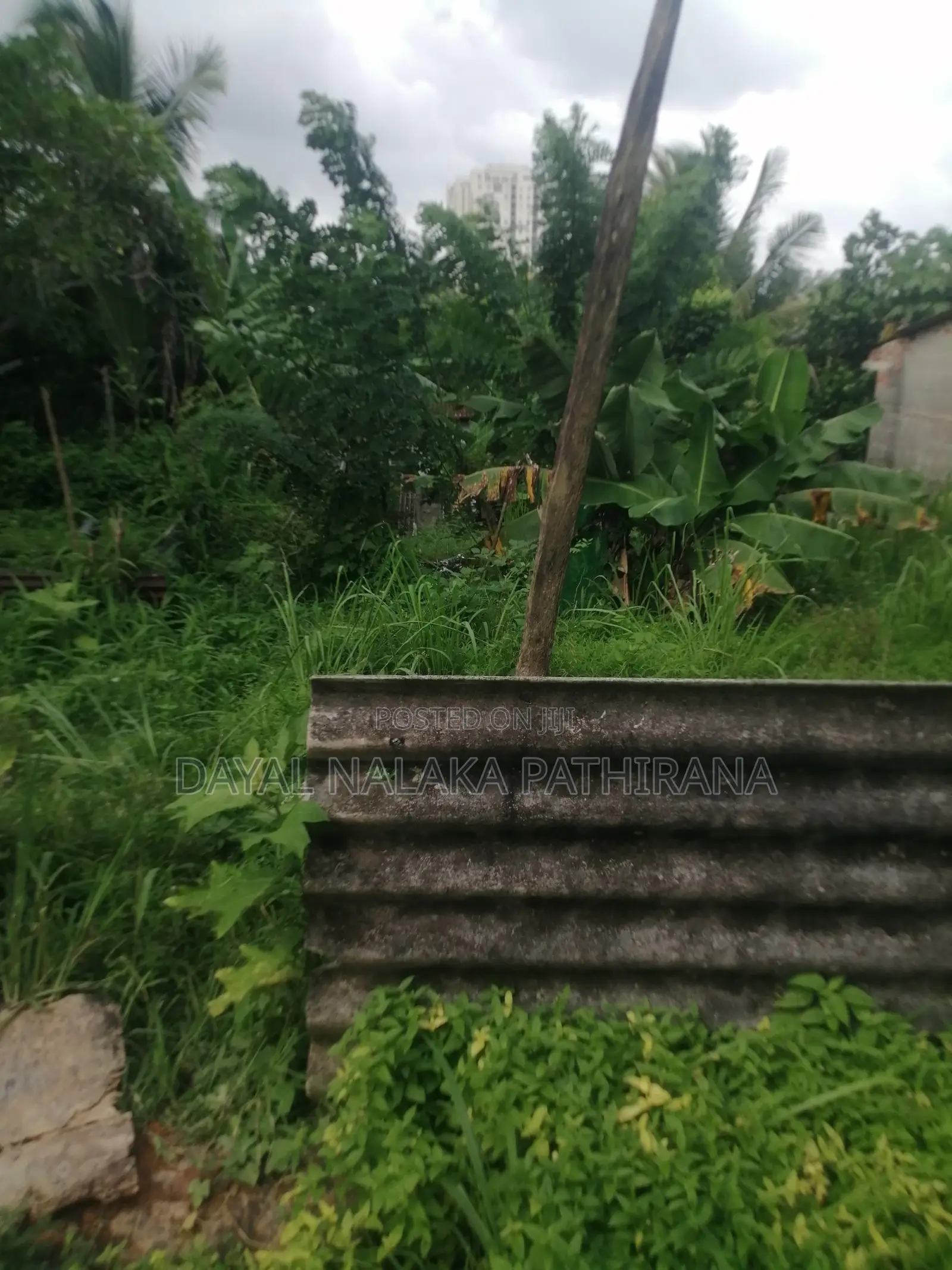 Land for Sale Urgent