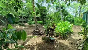 Land for Sale in Athurugiriya