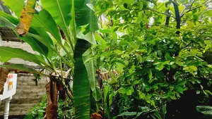 4bdrm House in Galwadugoda, Galle City for sale