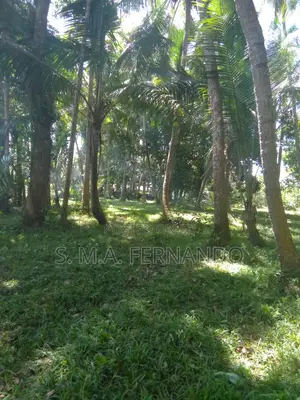 Photo - Riverside Land for Sale